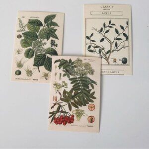 Naturecore print Bundle of 3 wall decor postcard